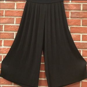 Zara Flowy Pleated Palazzo Pants